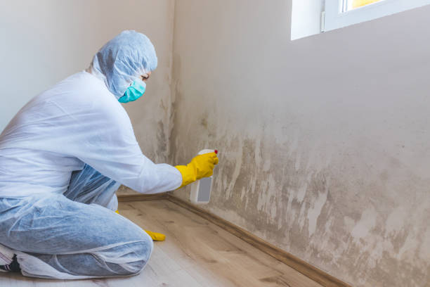 Commercial Mold Remediation assessment for commercial property in Schellsburg