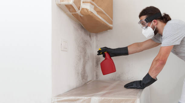 Basement Mold Remediation treatment on basement walls in Schellsburg