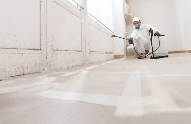 Black mold remediation team in Schellsburg